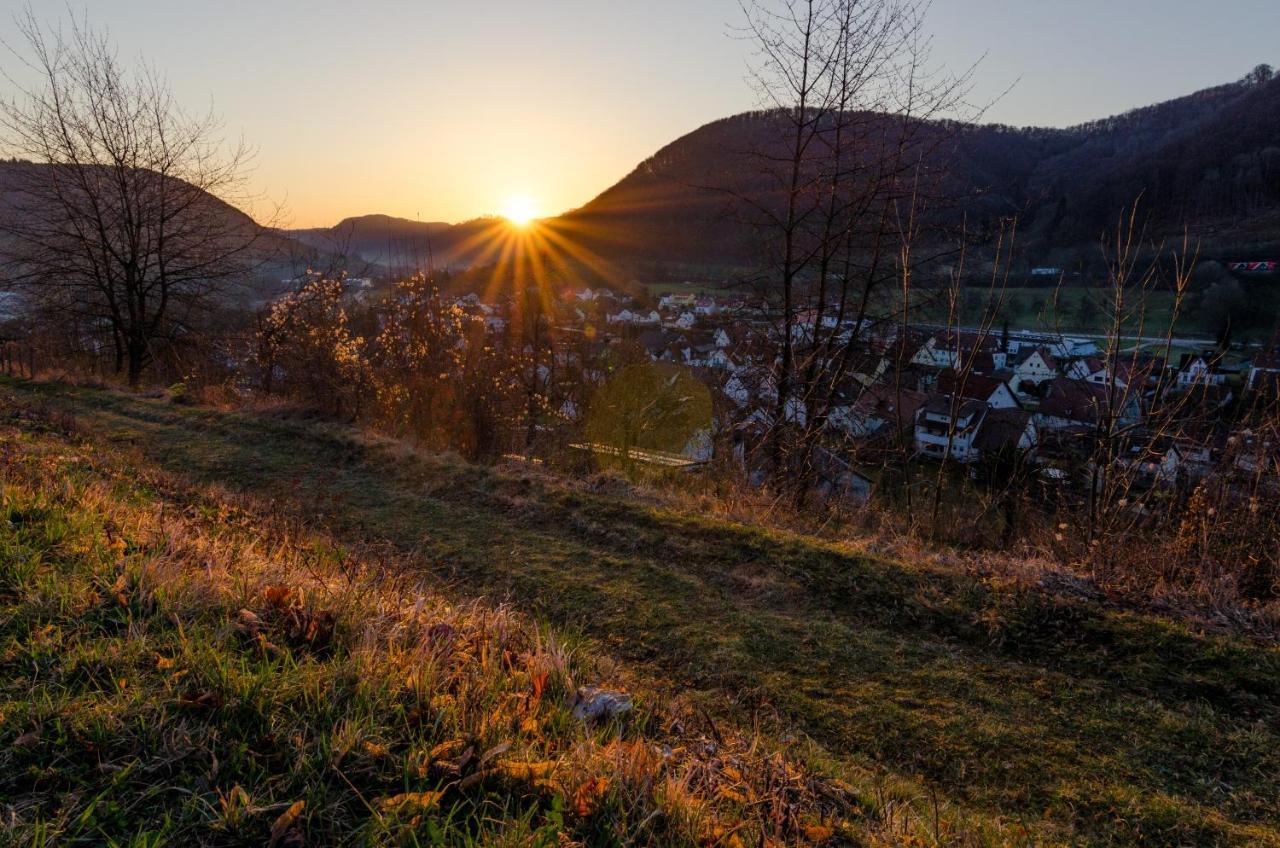 Akzent Hotel Hoehenblick Muehlhausen im Taele エクステリア 写真